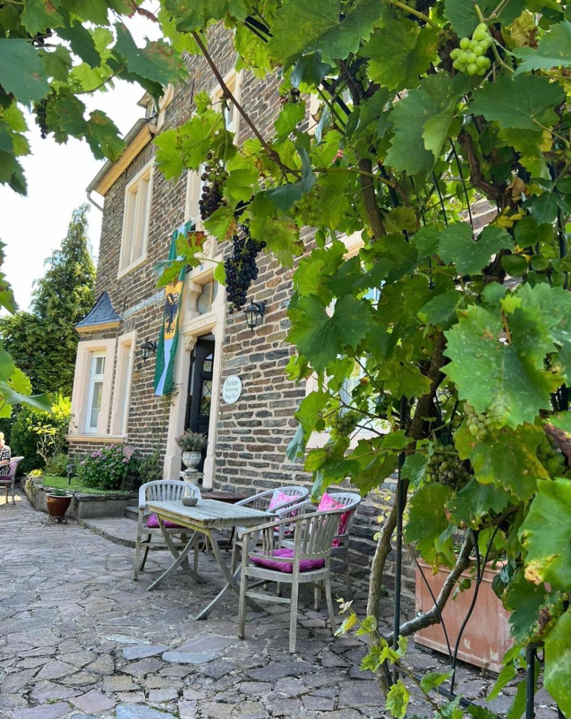 Mosel-Erker Daire Reil Dış mekan fotoğraf